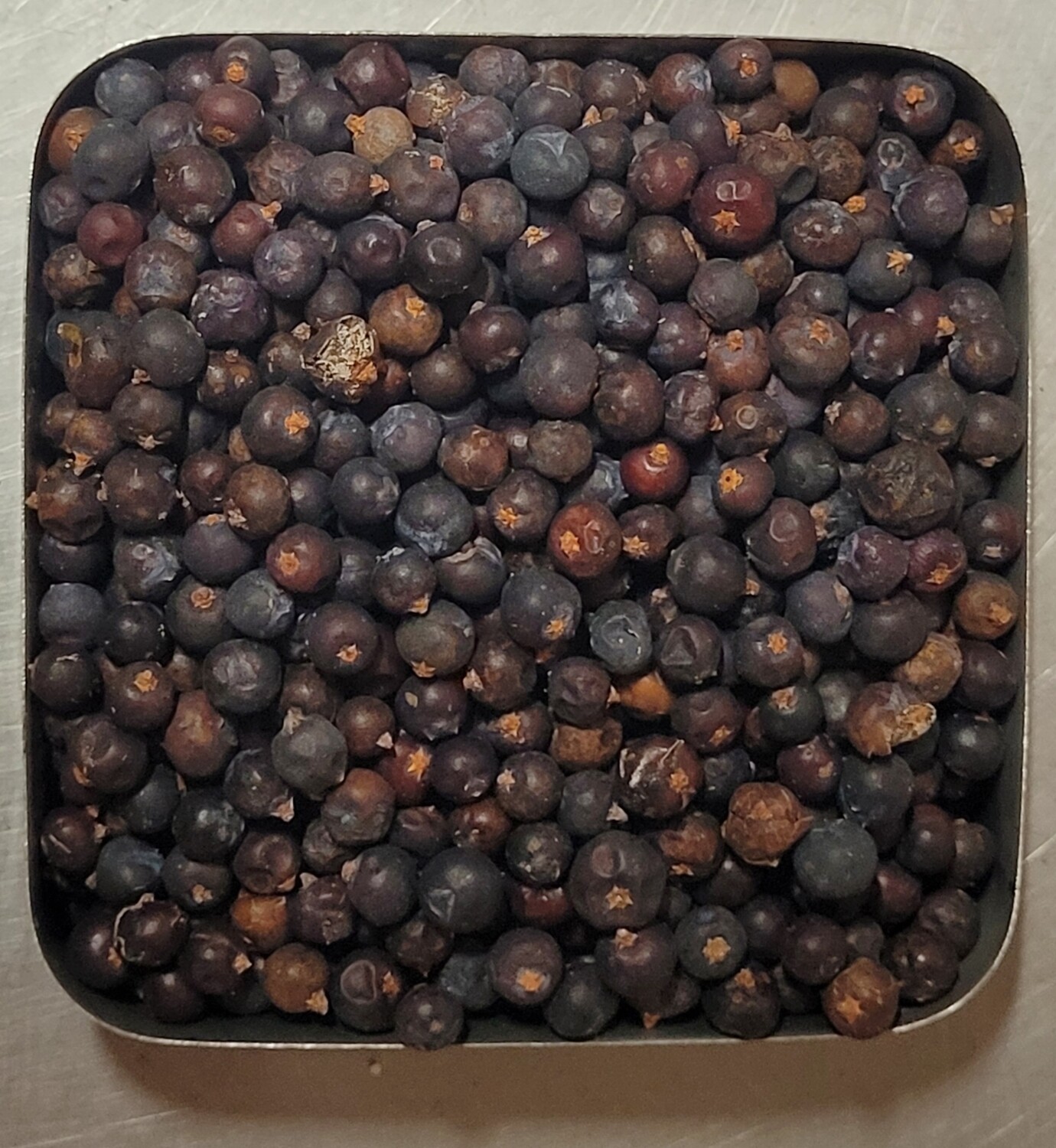 Juniper Berries - 1 oz Juniper Berries - 1 oz