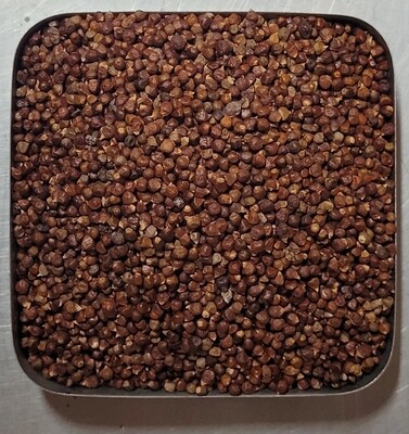Grains of Paradise - 5g Grains of Paradise - 5g