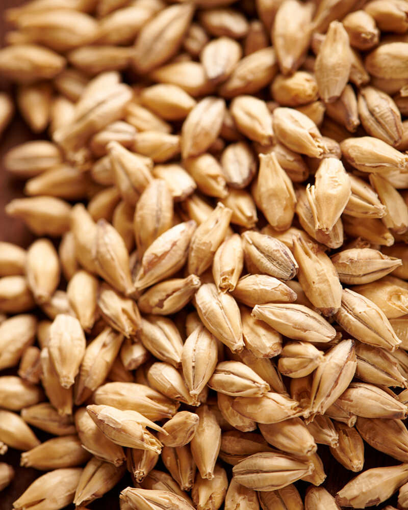 Carafoam Malt (Weyermann) - 55lb Sack Carafoam Malt (Weyermann) - 55lb Sack