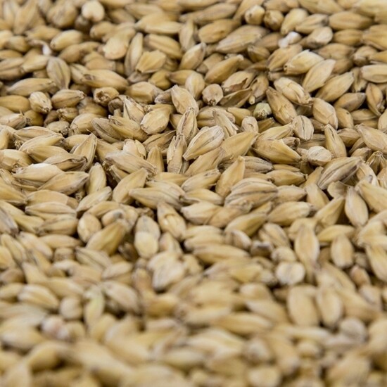 BC Pale Malt