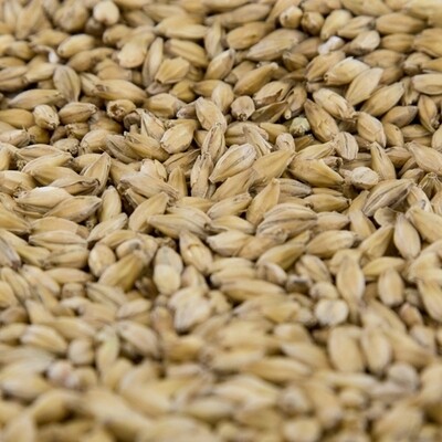 BC Pale Malt
