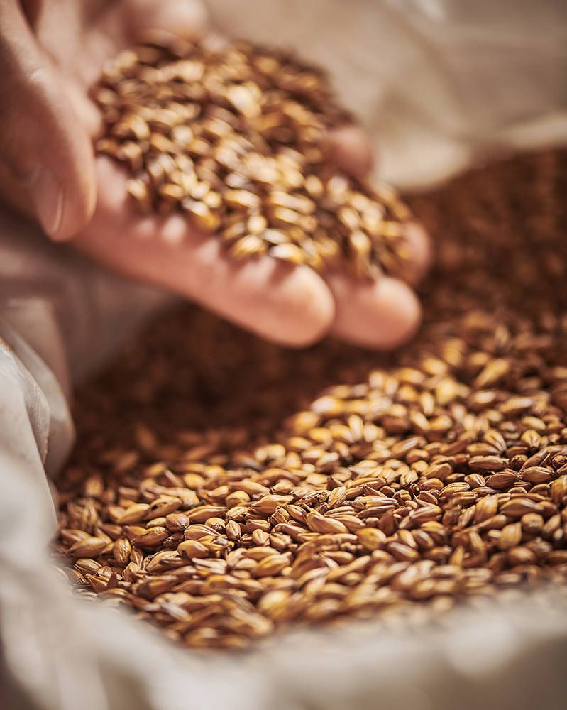 Pilsner (Floor Malted Bohemian) Malt Pilsner (Floor Malted Bohemian) Malt