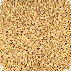 Pilsen Malt (Dingemans) Pilsen Malt (Dingemans)