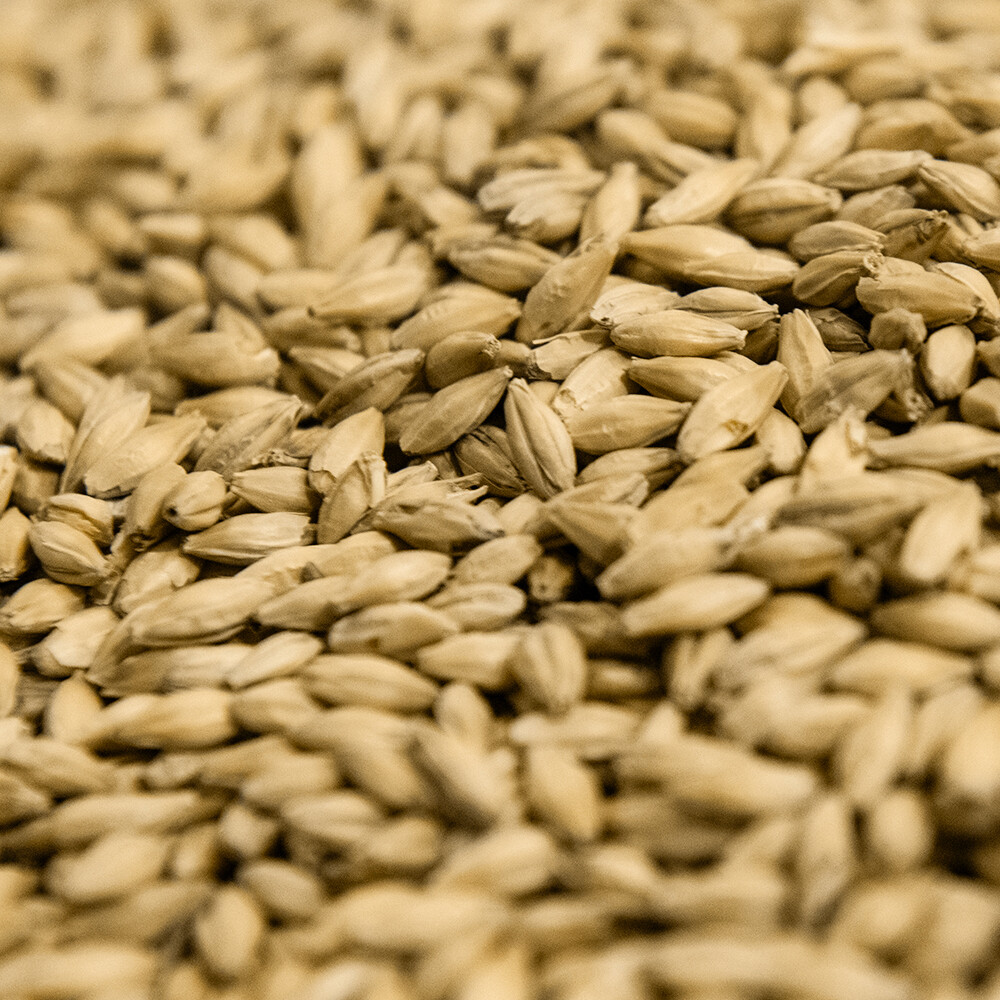 IPA Malt