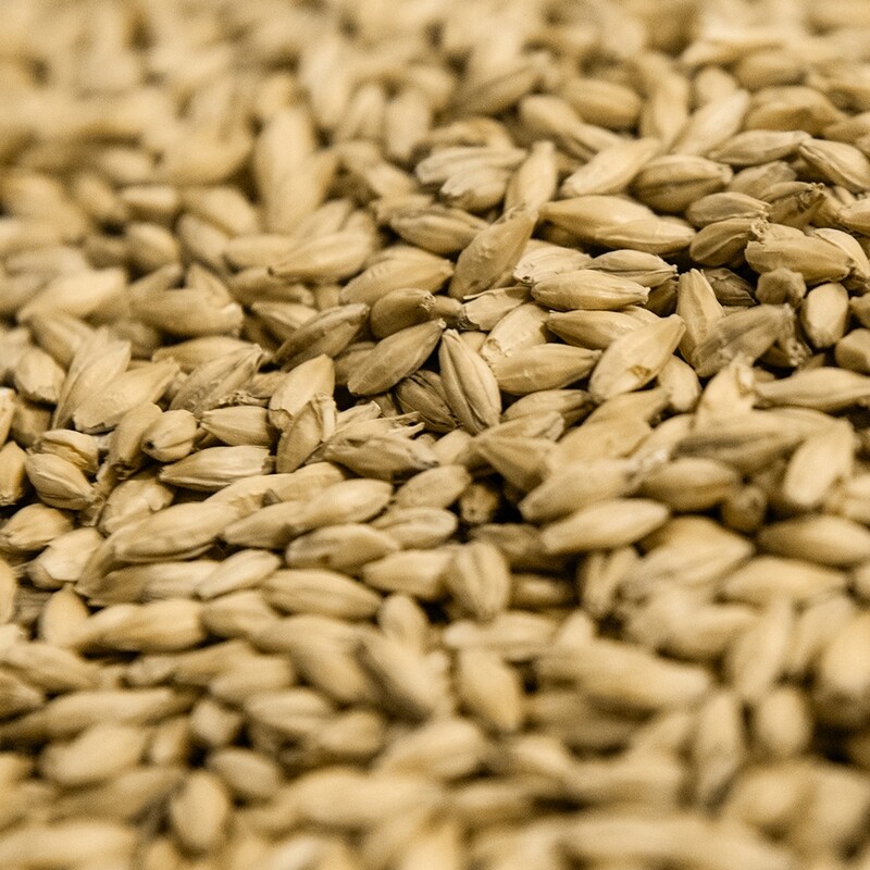 IPA Malt