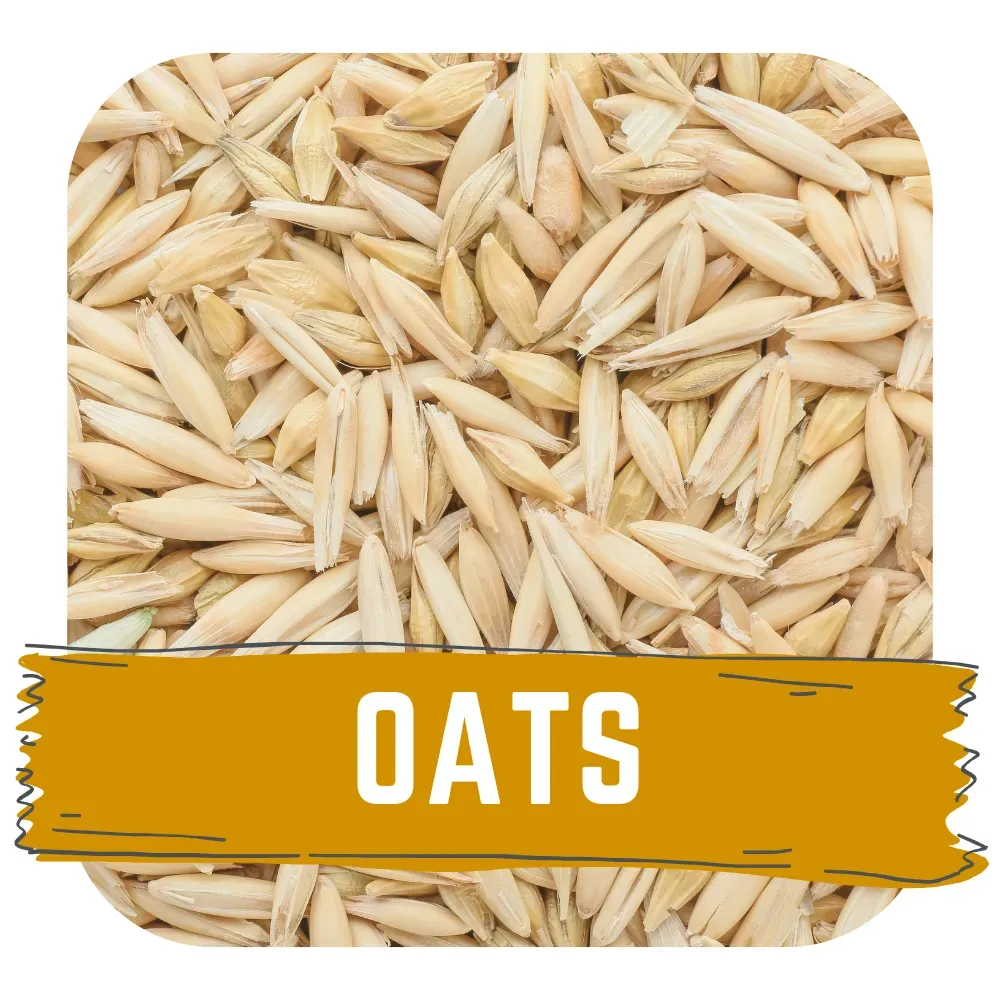 Organic Malted Oats (Hogarth)