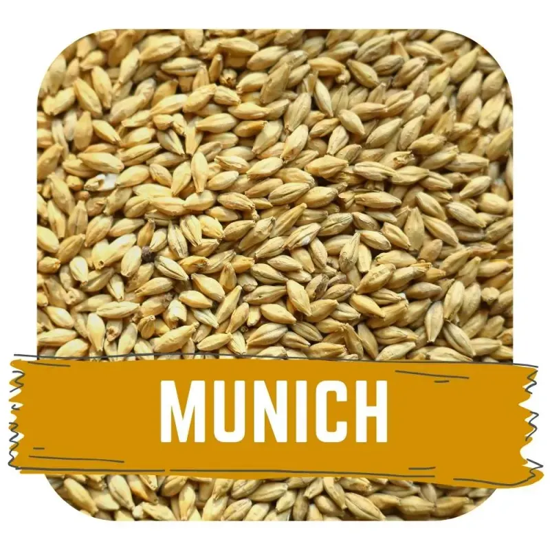 Organic Munich (Hogarth)