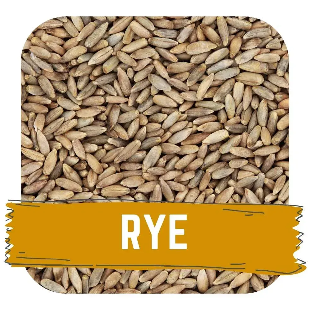 Organic Rye (Hogarth) 55lb Sack