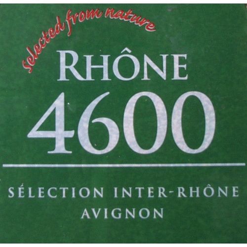Rhone 4600 Dry Wine Yeast, 8g