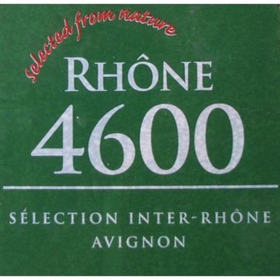 Rhone 4600 Dry Wine Yeast, 8g Rhone 4600 Dry Wine Yeast, 8g