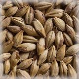 Cara Ruby Malt