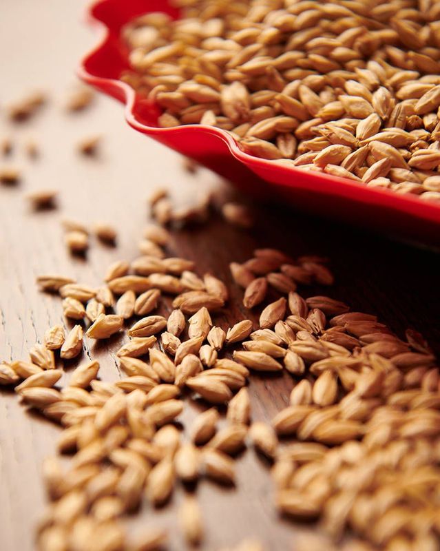 Pilsner (Isaria 1924) Malt