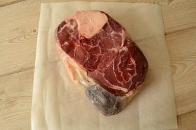 Shin on the bone