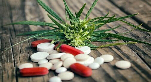 🌿 MMJ Therapy Consultation 💊