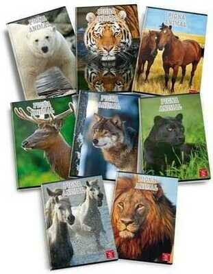 Quaderno PIGNA Animal Q 20+1ff scx10