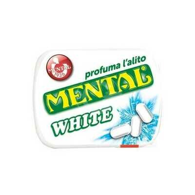 MENTAL Astuccio WHITE 17gr scx24pz