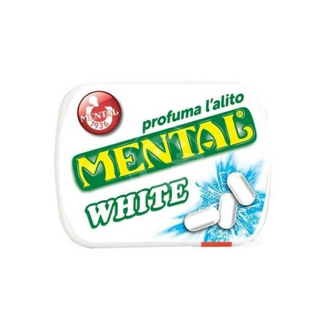 MENTAL Astuccio WHITE 17gr scx24pz