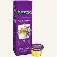 FOODNESS CAPSULE RICOLA Professional FIORI DI SAMBUCO scx10pz