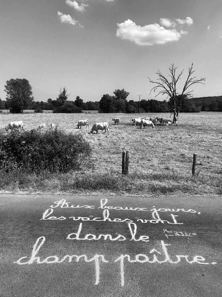 Aux beaux jours, les vaches vont dans le champ paître - 90 X 120 cm limité à 1 exemplaire