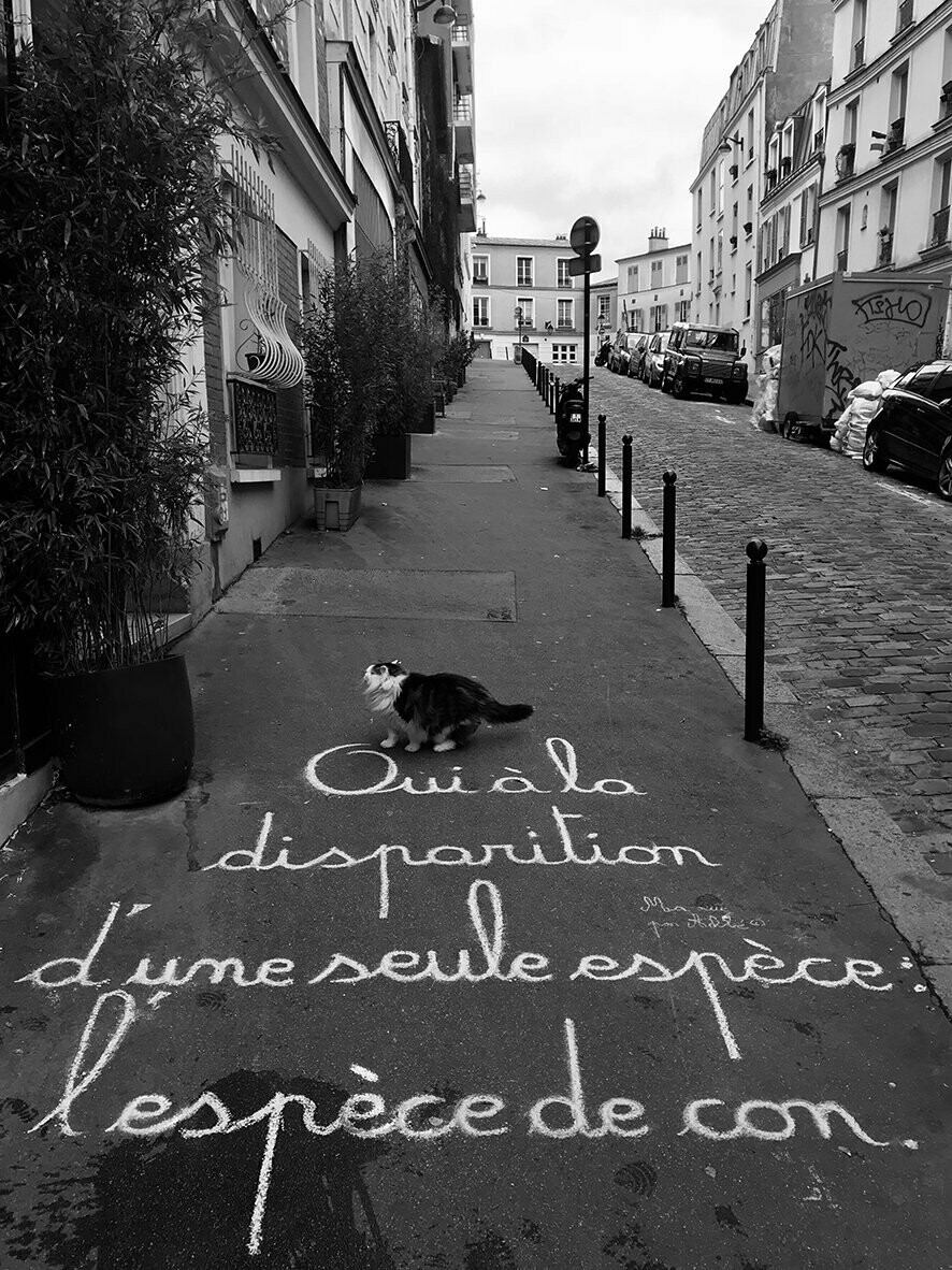 Oui à la disparition d'une seule espèce : l'espèce de con - 28,5 X 38 cm limité à 2 exemplaires