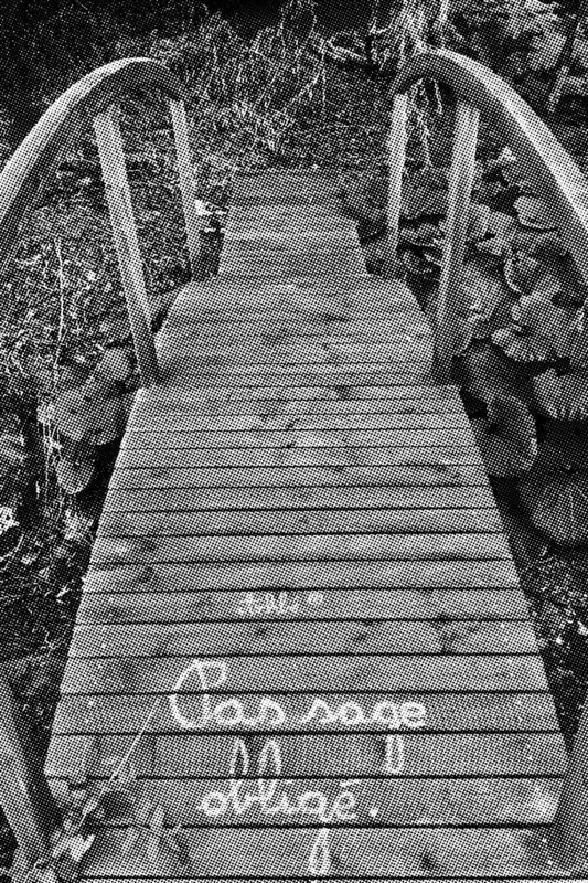 SÉRIE LIMITÉE - Pas sage obligé  - 19 X 25 cm limité à 5 exemplaires