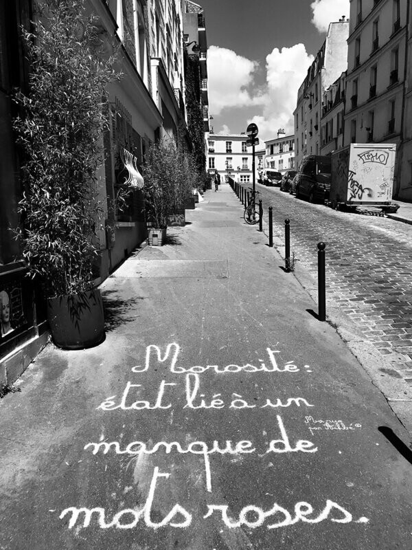 Morosité : état lié à un manque de mots roses - 28,5 X 38 cm limité à 2 exemplaires