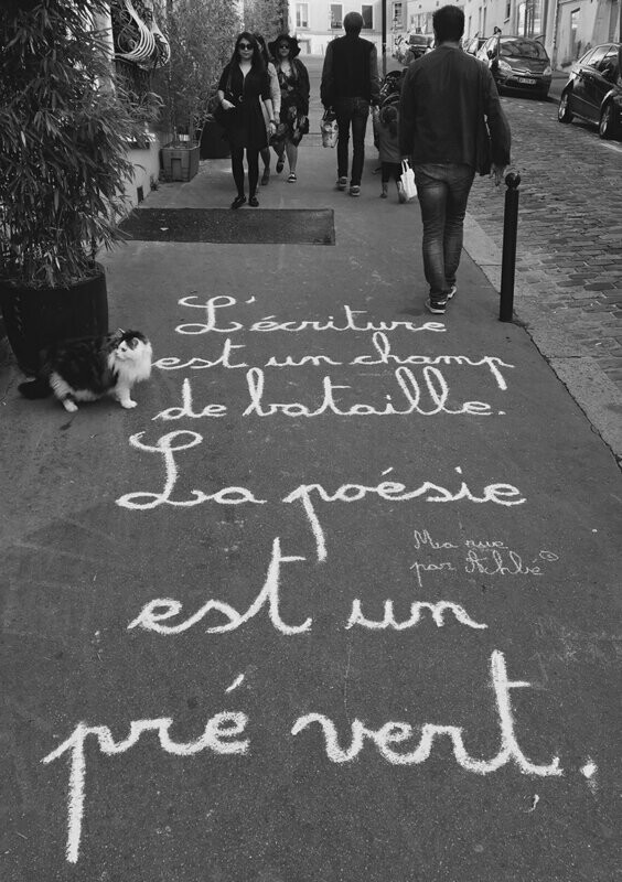 L'écriture est un champ de bataille. La poésie est un pré vert - 28,5 X 38 cm limité à 2 exemplaires