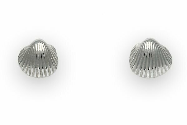 Muschel Ohrstecker