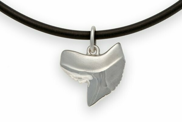 Hammerhead shark tooth necklace deals