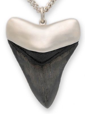 Megalodon Shark Tooth Pendant Megalodon Shark Tooth Pendant