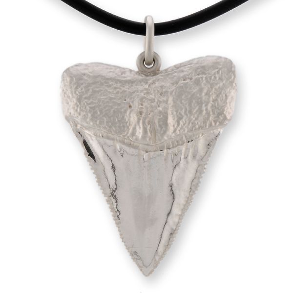 Colgante Diente Tiburón Blanco Grande Colgante Diente Tiburón Blanco Grande