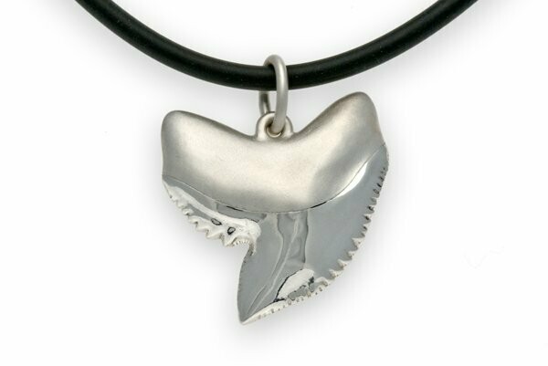 Tiger Shark Tooth Large