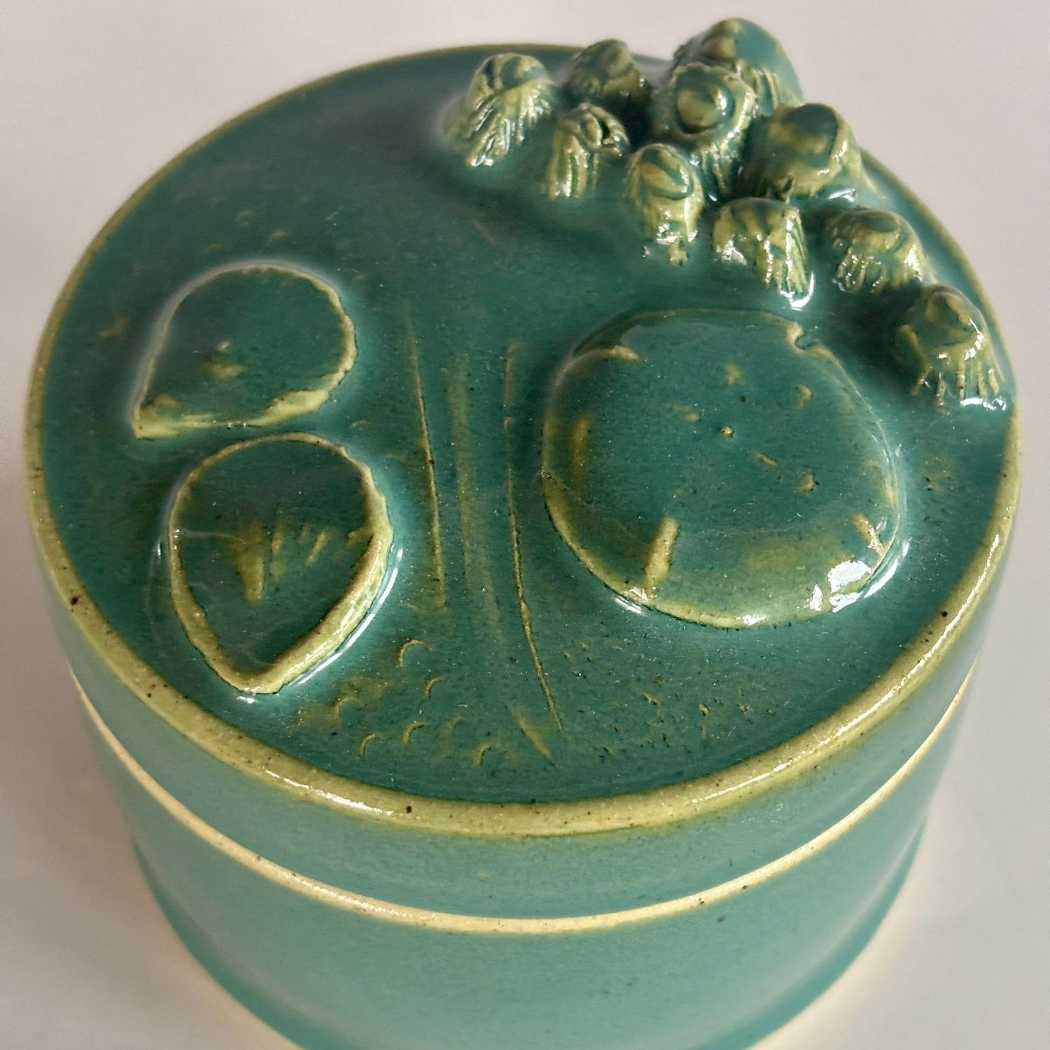 Box - Tide Pool, Green