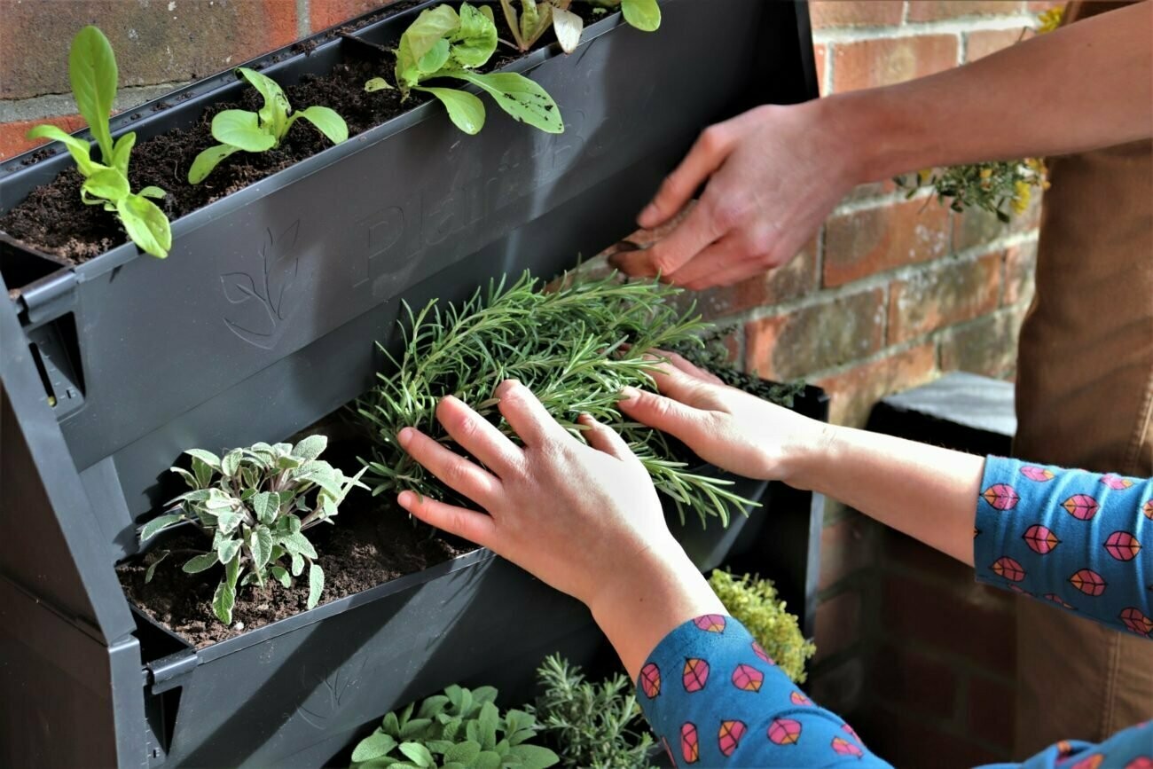 Growing Revolution | PlantBox Living Walls UK