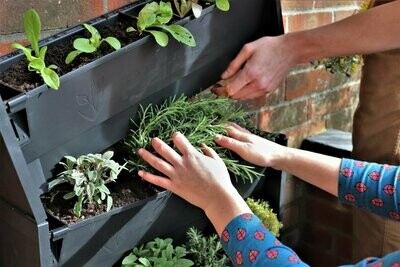 Plant Box Living Walls UK