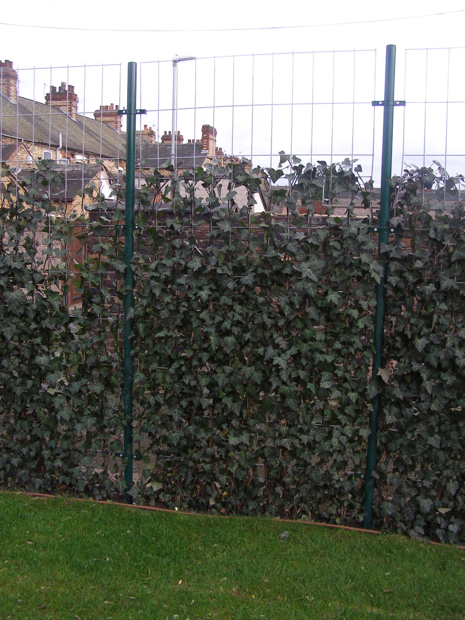 Blank extensions for Mobilane Green Screens