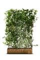 Mobilane Ecology Green Screen Eco