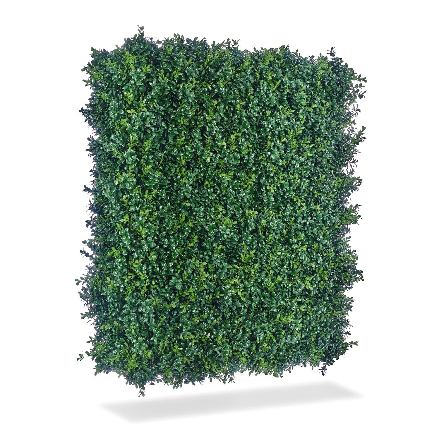 Boxwood panel Boxwood panel