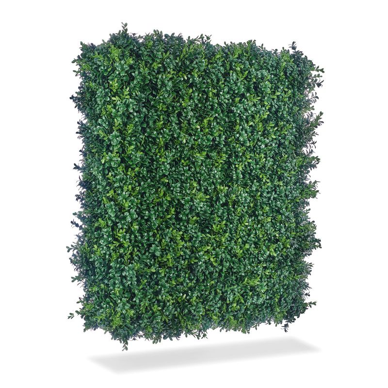 Boxwood panel Boxwood panel