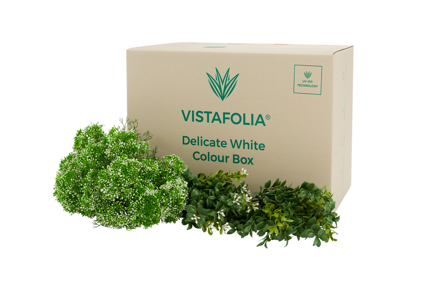 Delicate white colour box Delicate white colour box