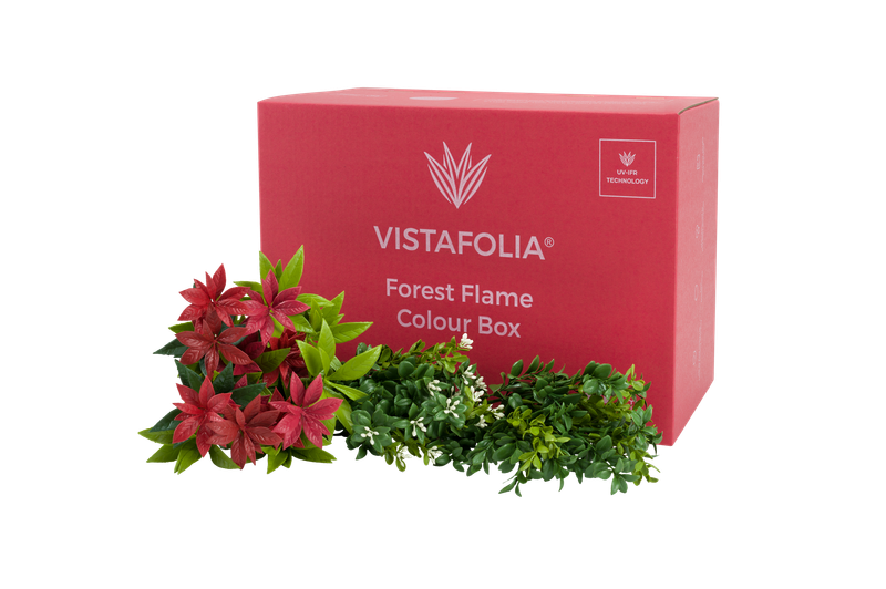 Forest flame colour box Forest flame colour box