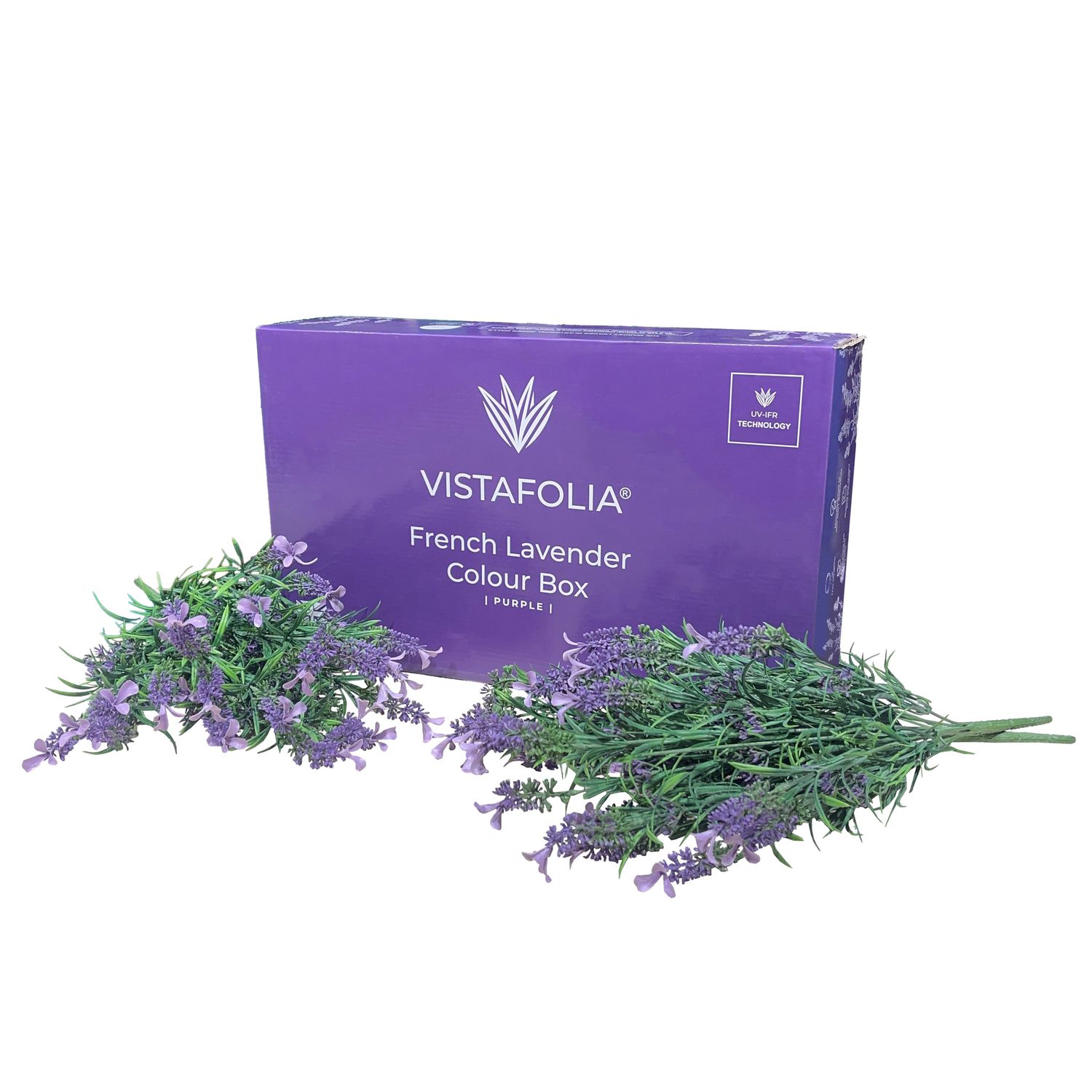 French lavender purple colour box French lavender purple colour box