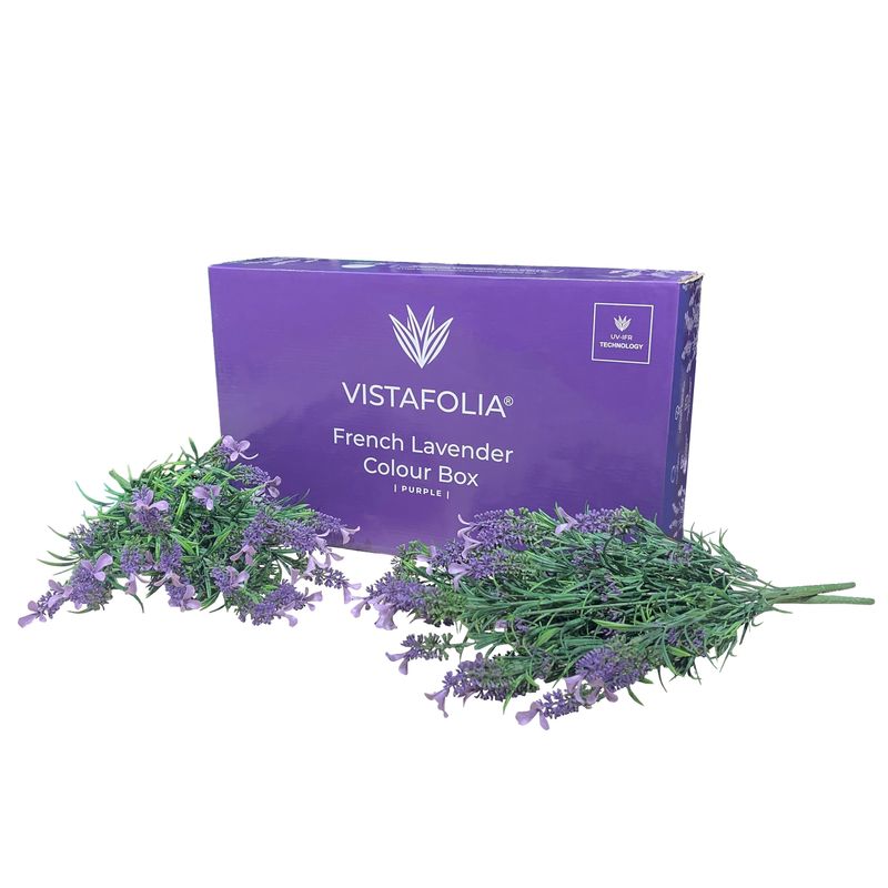 French lavender purple colour box French lavender purple colour box