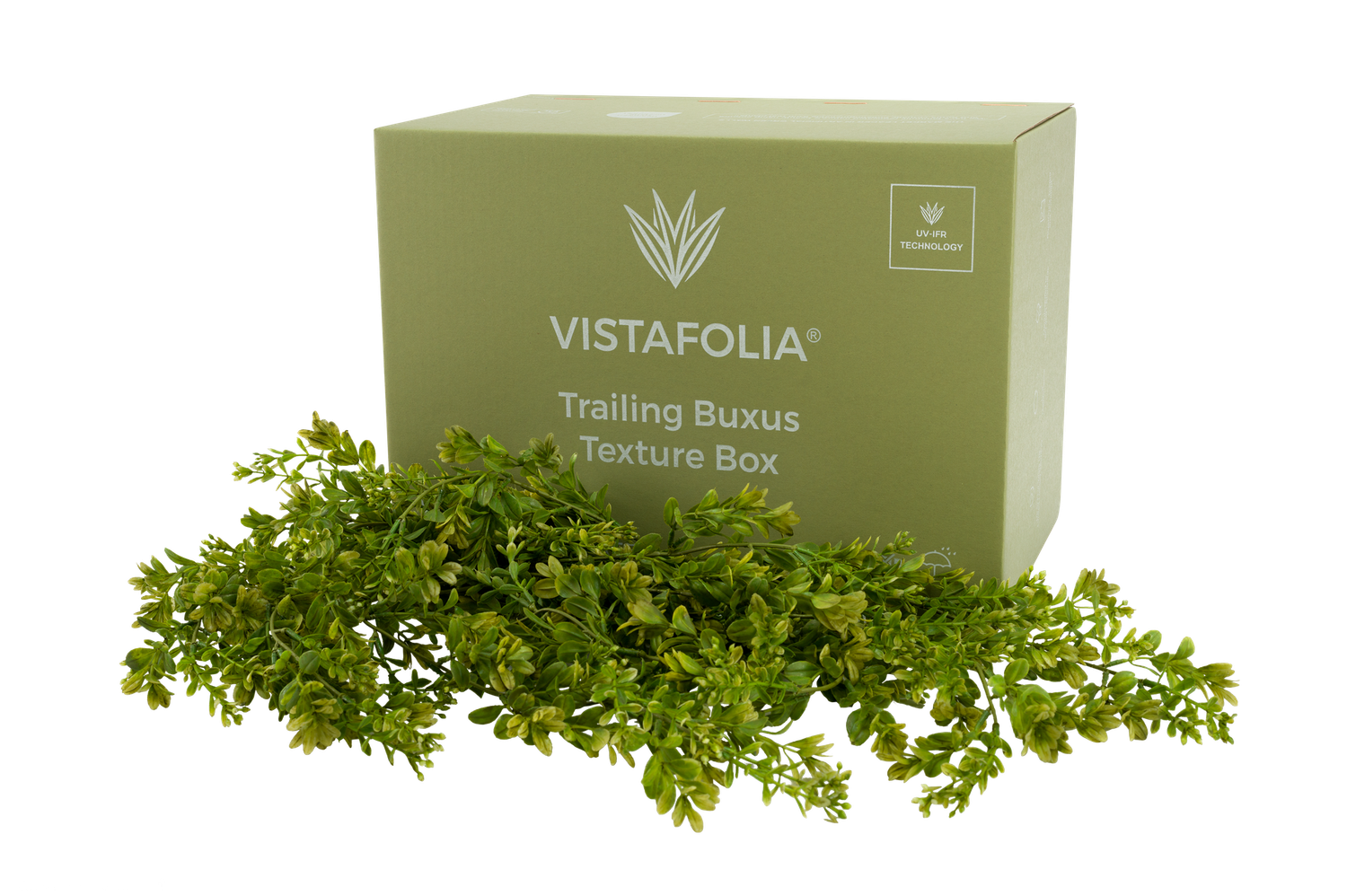 Trailing buxus texture box Trailing buxus texture box