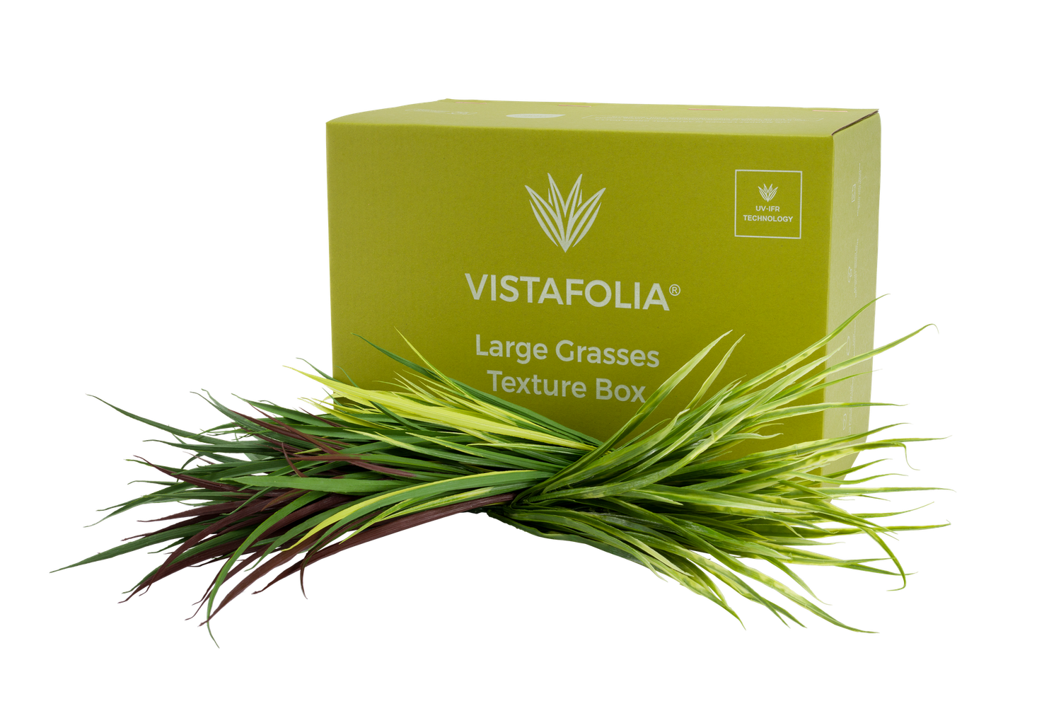 Large grasses texture box