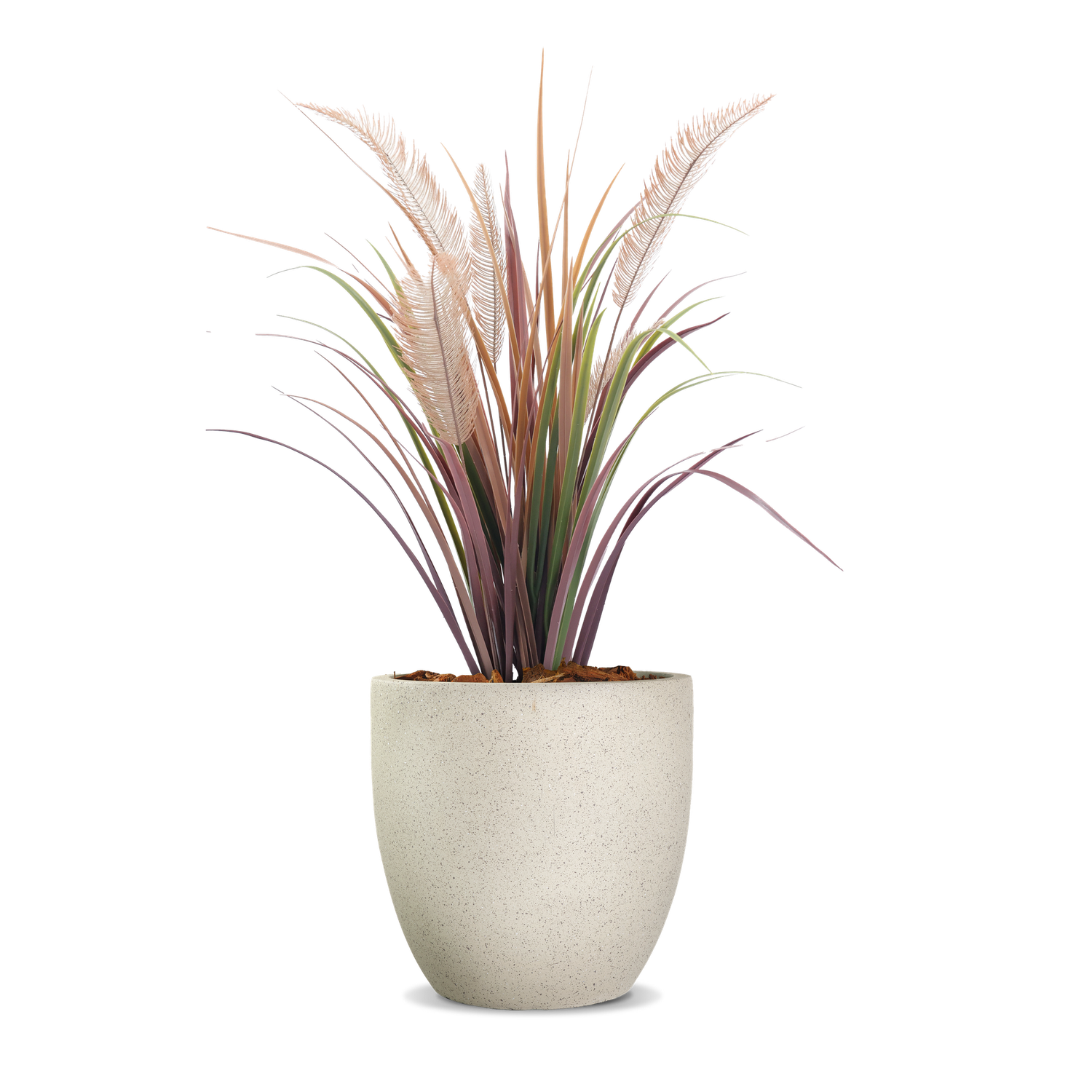 Potted grass