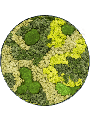 Moss art - Bun/Reindeer mix Moss art - Bun/Reindeer mix