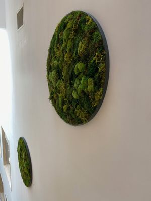 Moss art