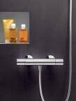 Mitigeur de douche