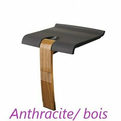 Siège ARSIS de douche Fantasy Anthracite Siège ARSIS de douche Fantasy Anthracite